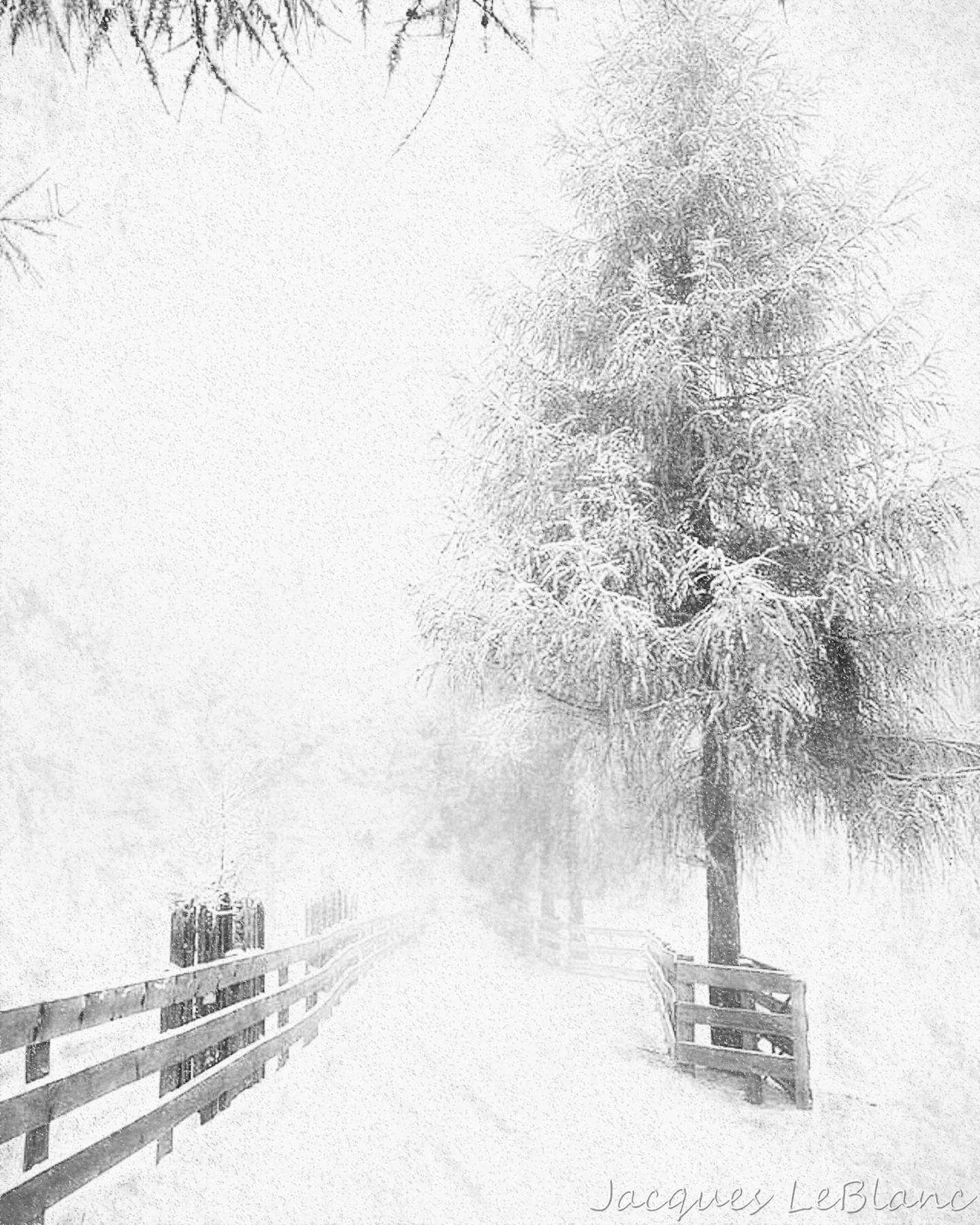 Taking a walk during a snowstorm and listening to the sounds of silence. A horse farm on the North Fork of Long Island.